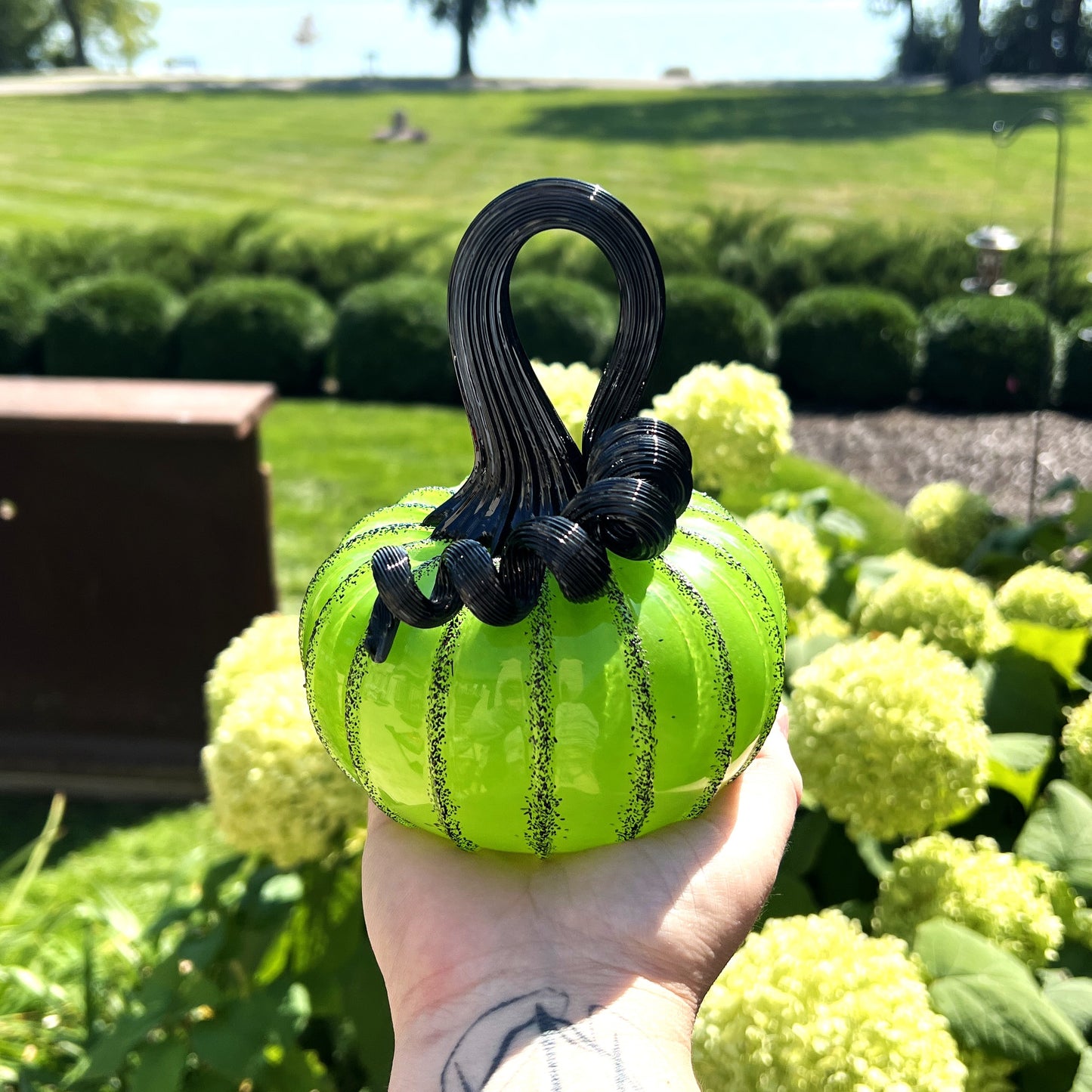 Glass Pumpkin by Connor O'Brien Glass