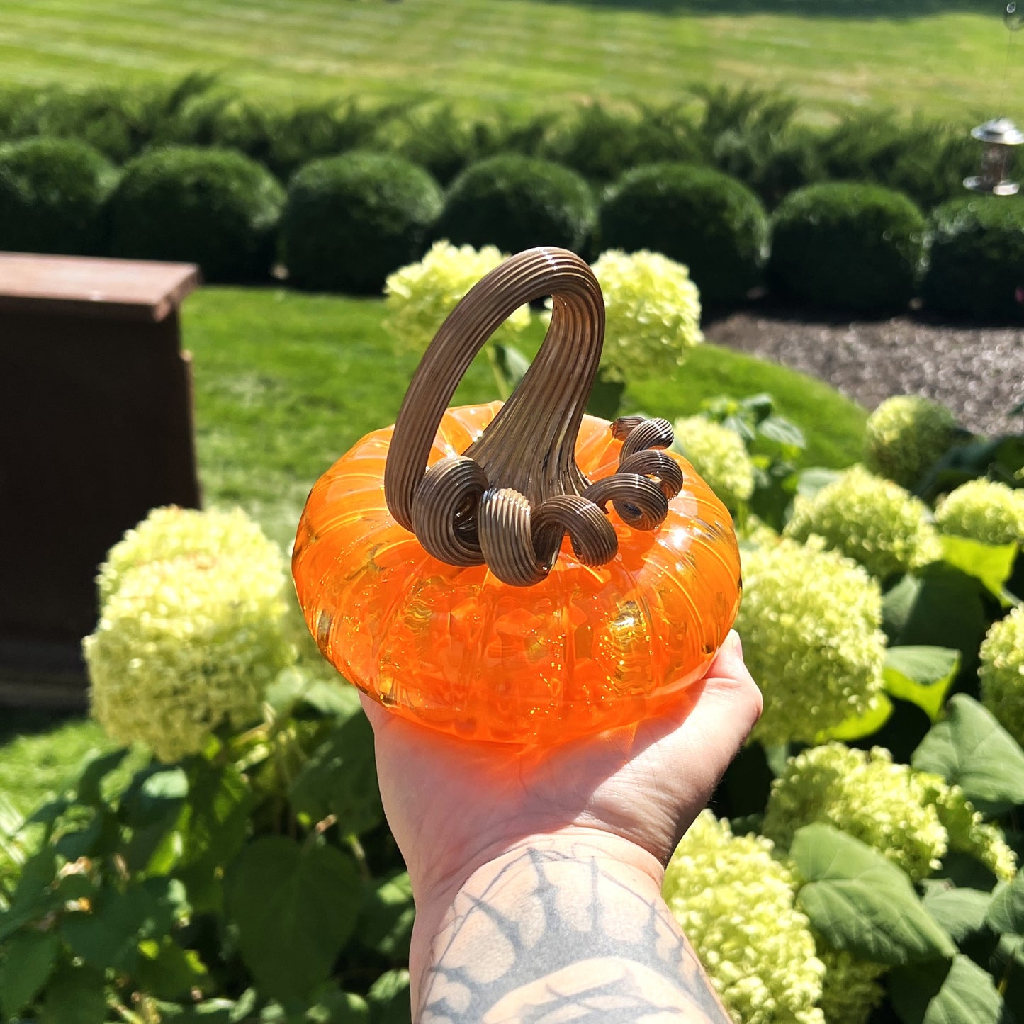 Glass Pumpkin by Connor O'Brien Glass