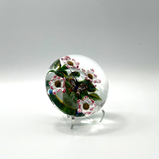 Daisies on Clear Paperweight by William Manson
