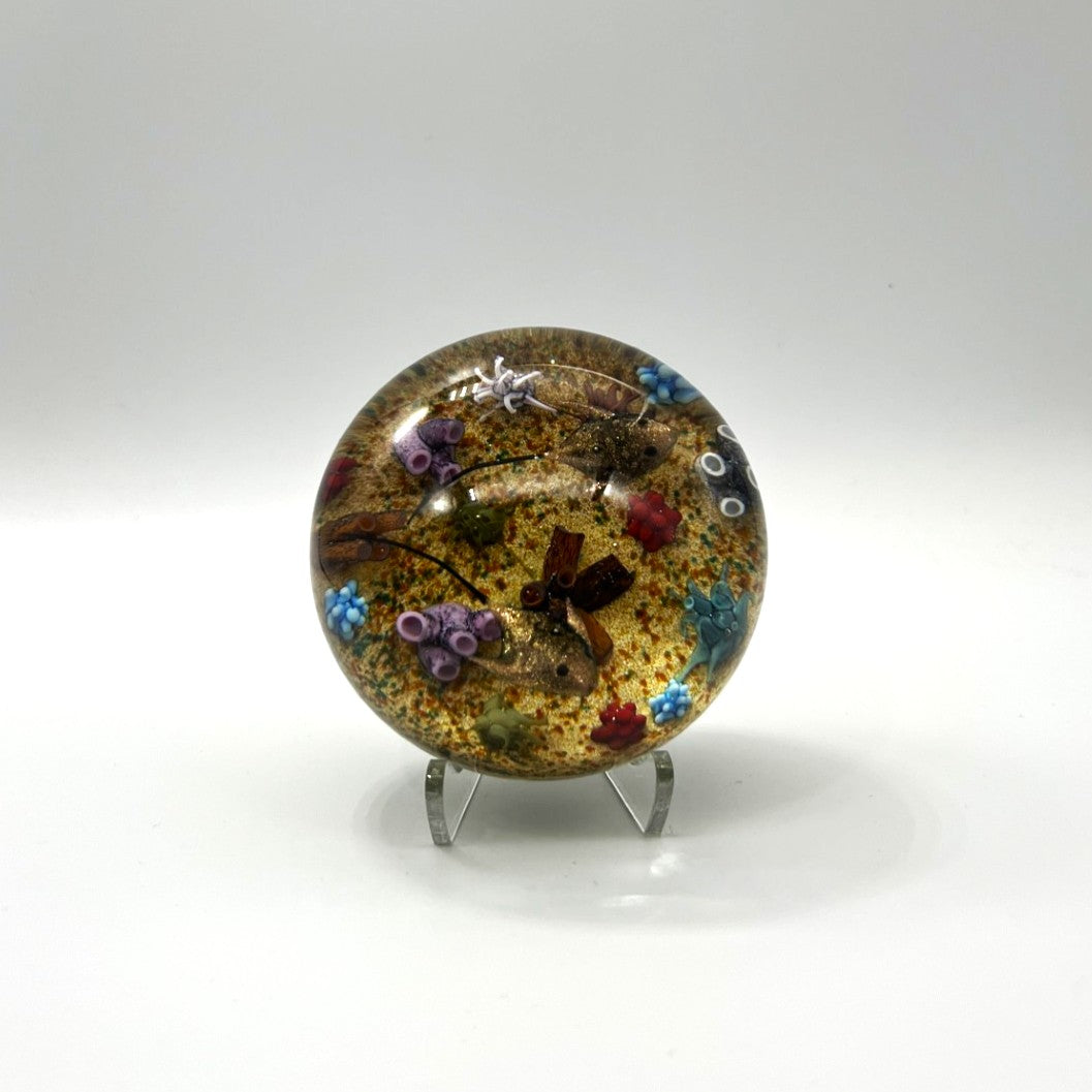 Gold Manta Ray Paperweight by William Manson