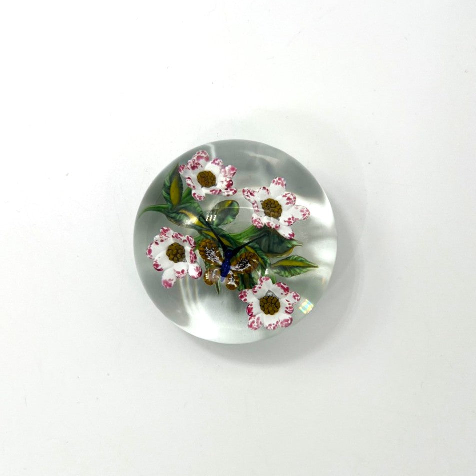 Daisies on Clear Paperweight by William Manson