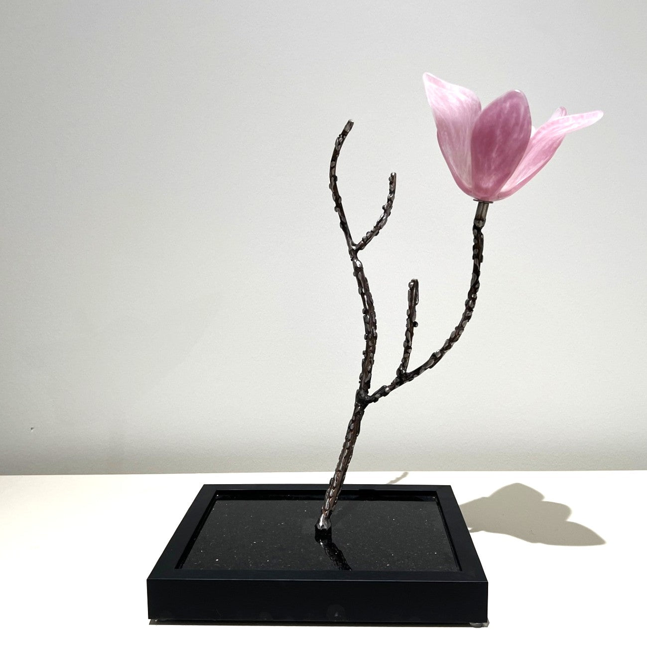 Tulip Magnolia by Cathy McKervey