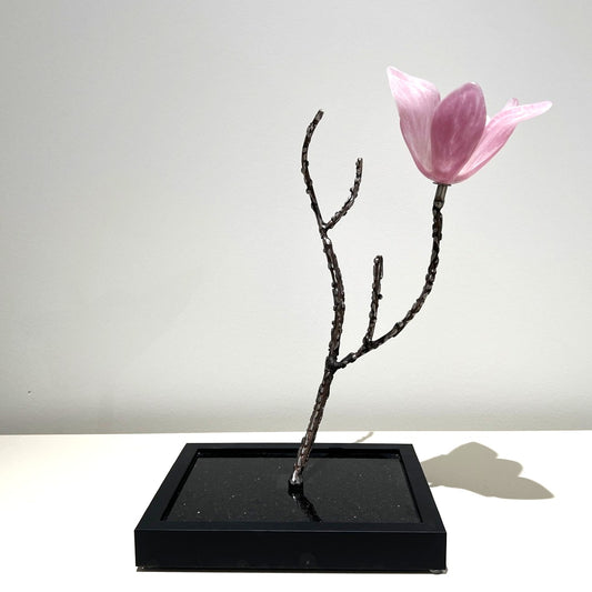 Tulip Magnolia by Cathy McKervey