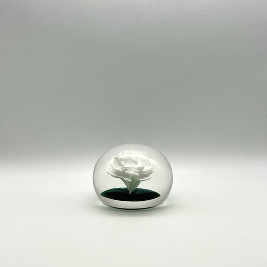 White Crimprose on Green by Machart Glass