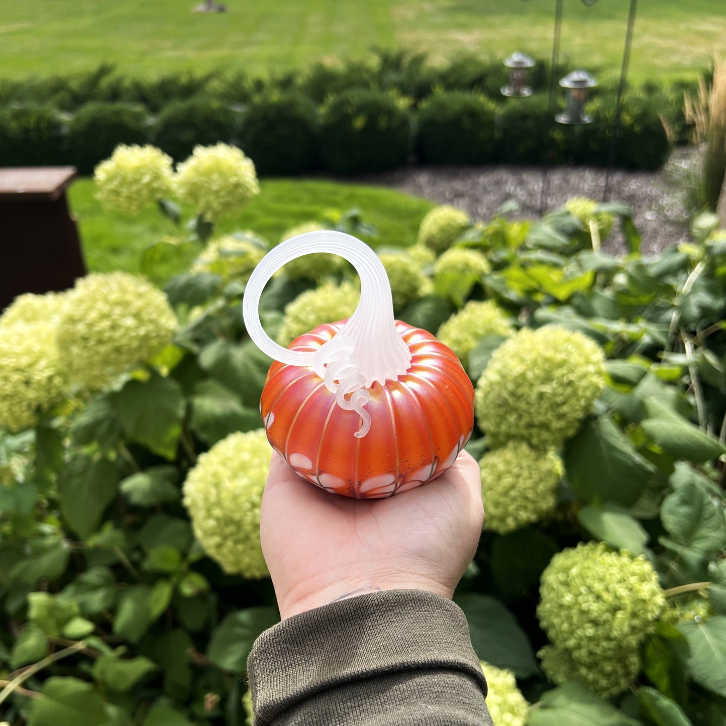 Small Pumpkin by Jack Pine Studio