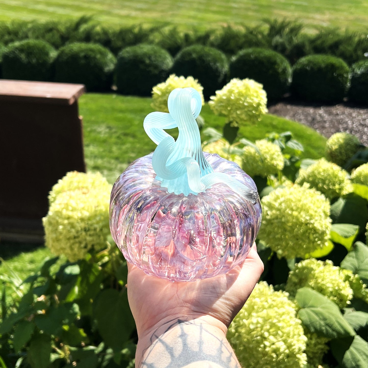 Glass Pumpkin by Connor O'Brien Glass