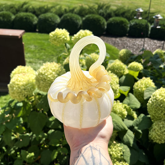 Glass Pumpkin by Connor O'Brien Glass