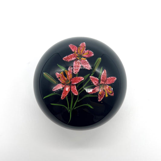 Lilies on Dark Background Paperweight by Ken Rosenfeld