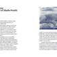 "Sibylle Peretti: Before It Turns to Gold" Exhibition Catalogue