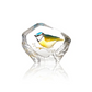Blue Tit Bird Engraved Glass by Mats Jonasson
