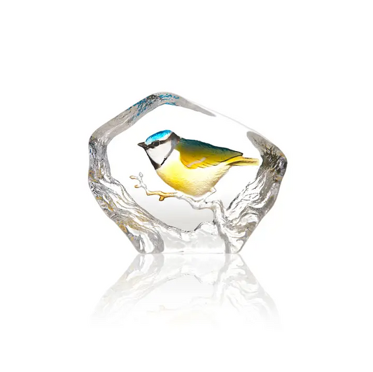 Blue Tit Bird Engraved Glass by Mats Jonasson