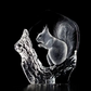 Squirrel Glass Engraving by Mats Jonasson