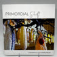 Primordial Shift Catalog